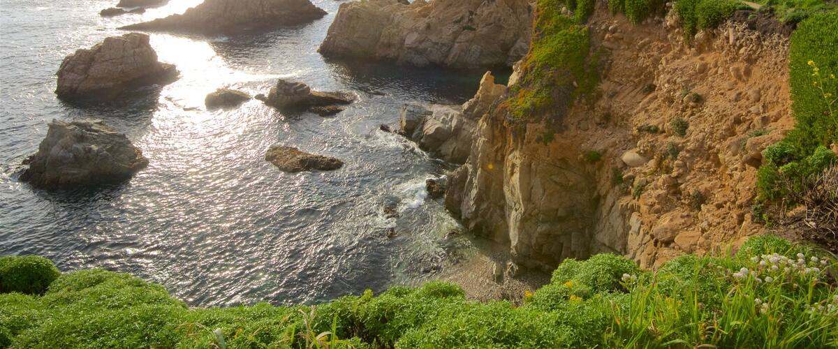 Garrapata Beach featuring rugged coastline