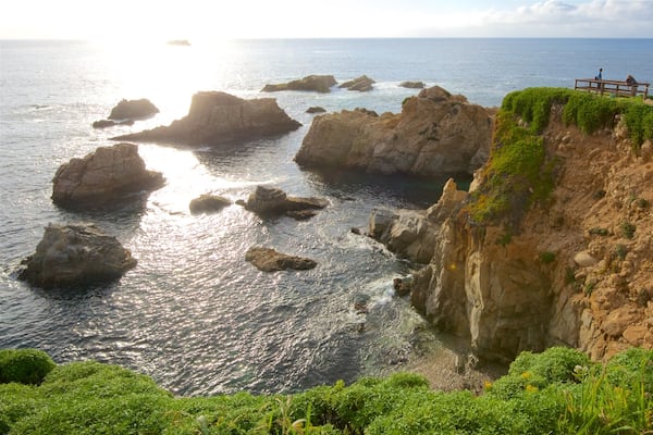 Garrapata Beach showing rocky coastline