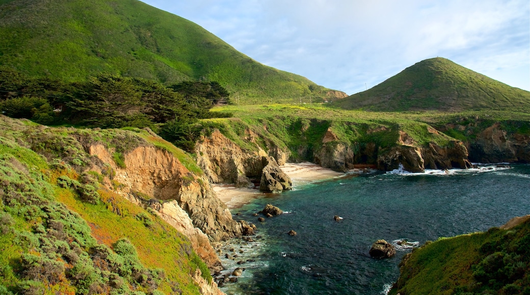 Garrapata Beach which includes rugged coastline, general coastal views and tranquil scenes