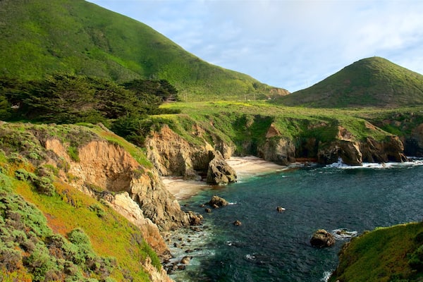 Garrapata Beach which includes rugged coastline, general coastal views and tranquil scenes
