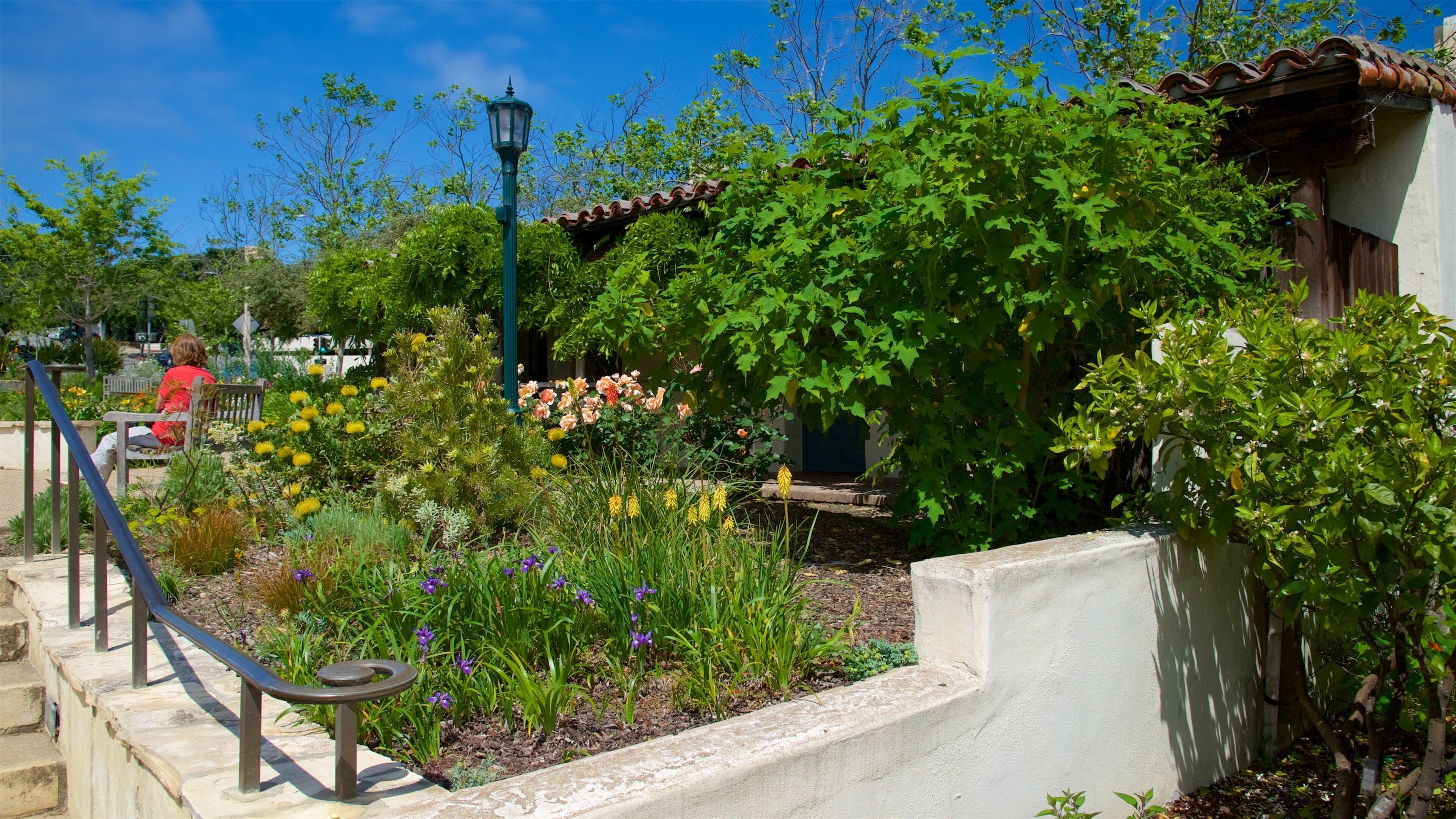 A garden with various plants and flowers, a bench, a street lamp, and a building with a tiled roof.