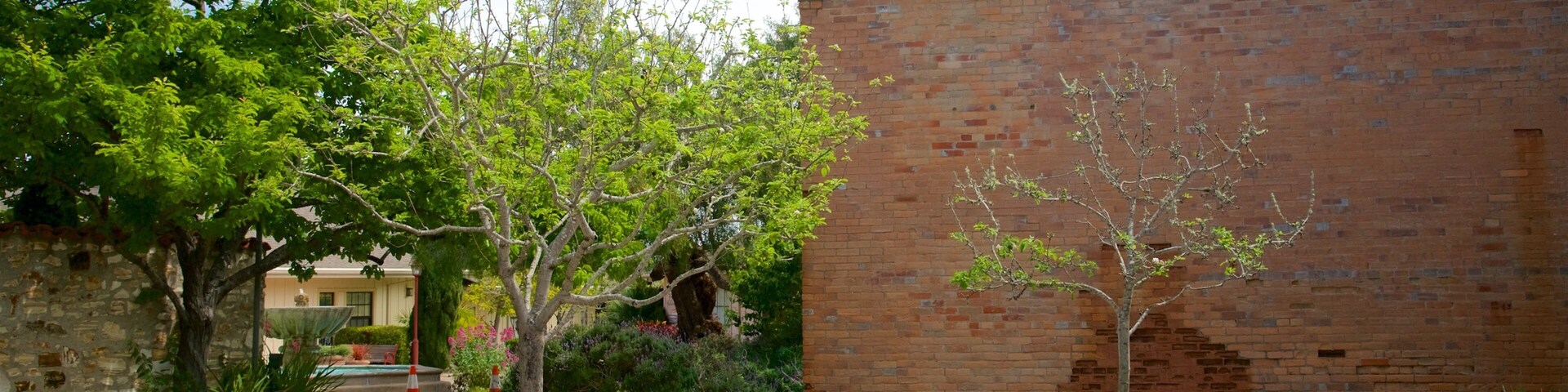 Monterey State Historic Park featuring flowers and heritage elements
