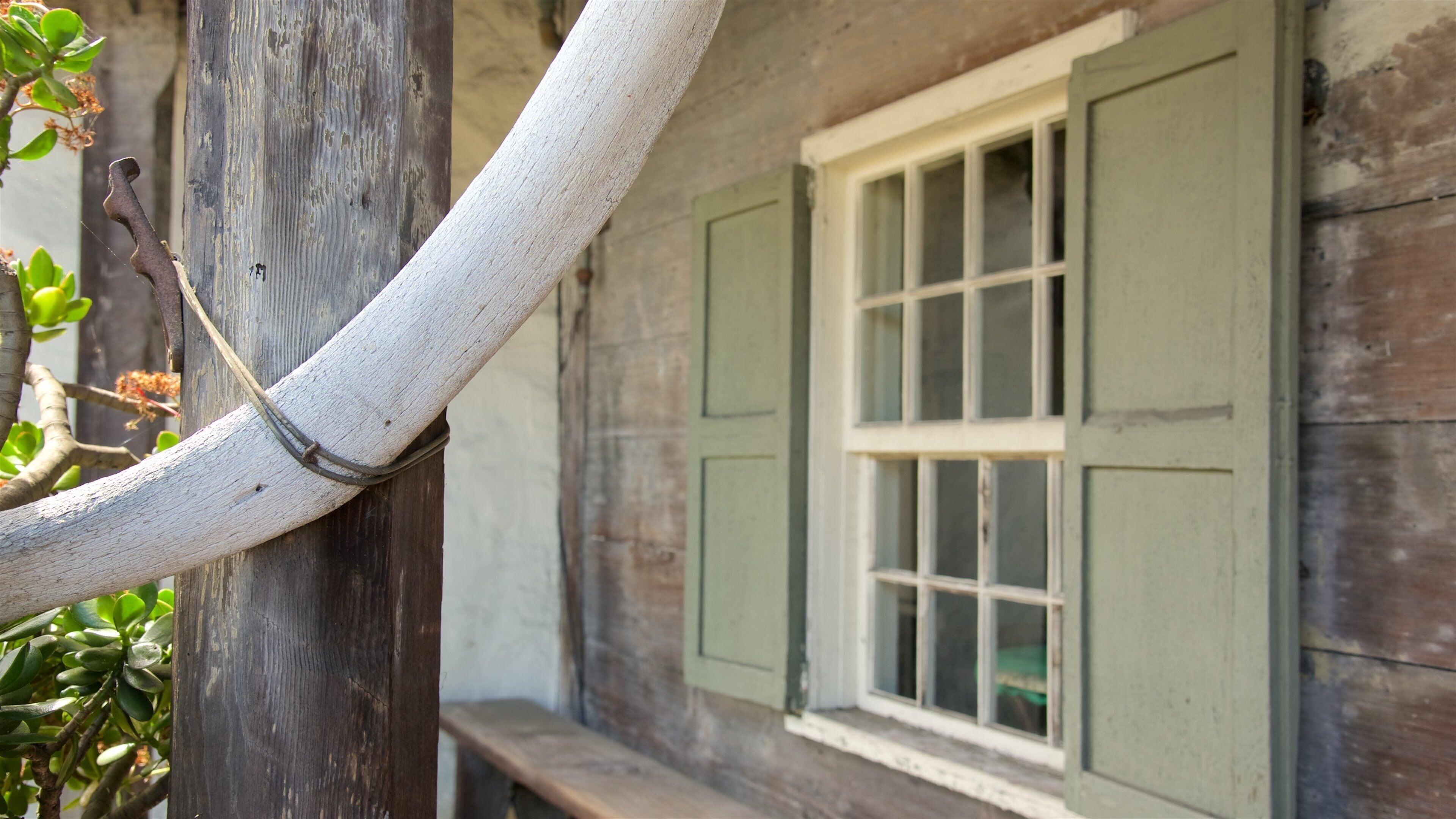 Monterey delstatshistoriske park