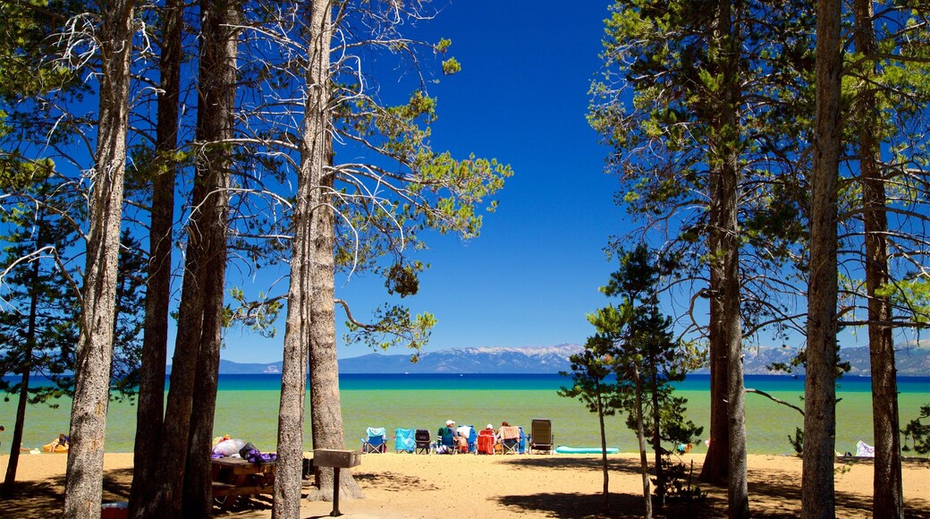 Pope Beach showing a lake or waterhole and a beach as well as a small group of people