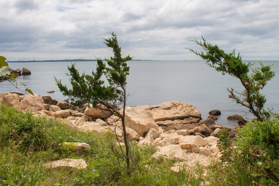 A rocky shoreline with sparse vegetation and a calm body of water under a cloudy sky.