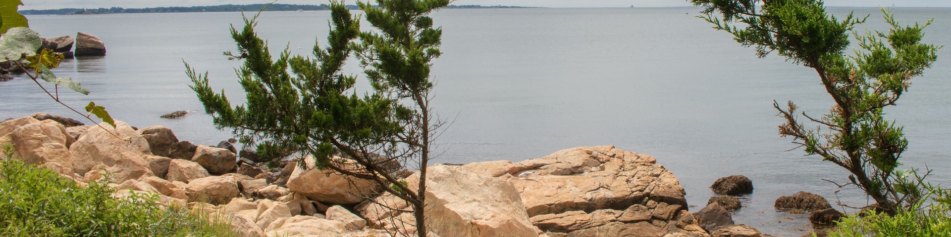 Two small pine trees frame the entrance to the rocky coast in Bluff Point State Park, Groton, Connecticut