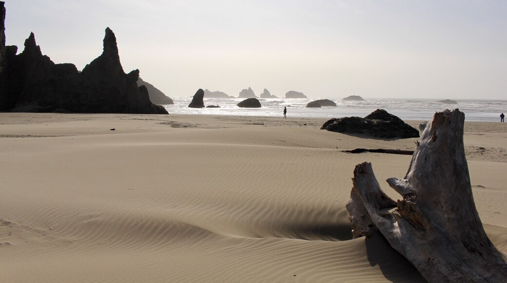 This daydream of a beach was other worldly. #Adventure