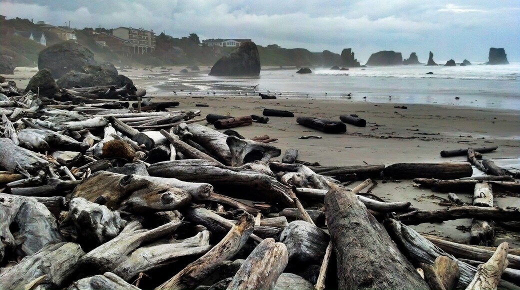 Taken during road trip across country. #beach