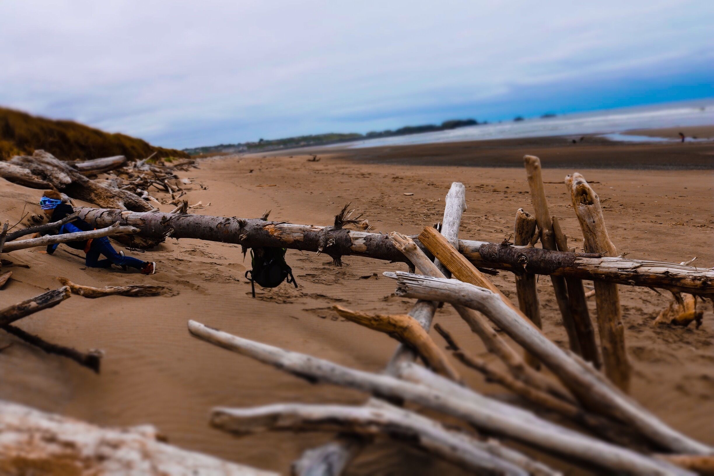Bullard beach. Great hiking, beach combing and agate hunting. Even build a temporary stick home haha. #beachbound #beachtips