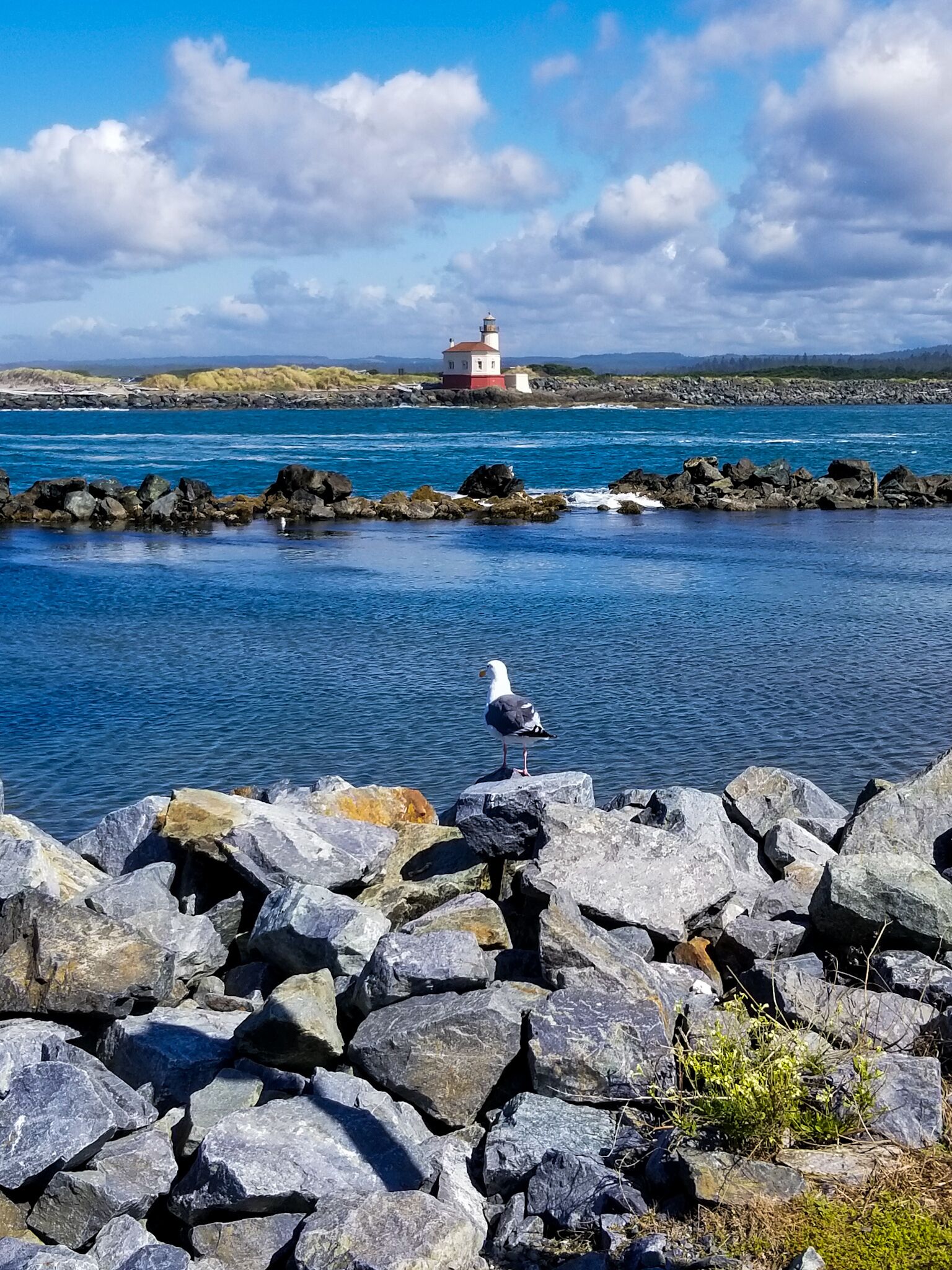 Coquille River Lighthouse

Use Bandon South Jetty Park position to shot great pictures of the Coquille River Lighthouse from the other side of the river!