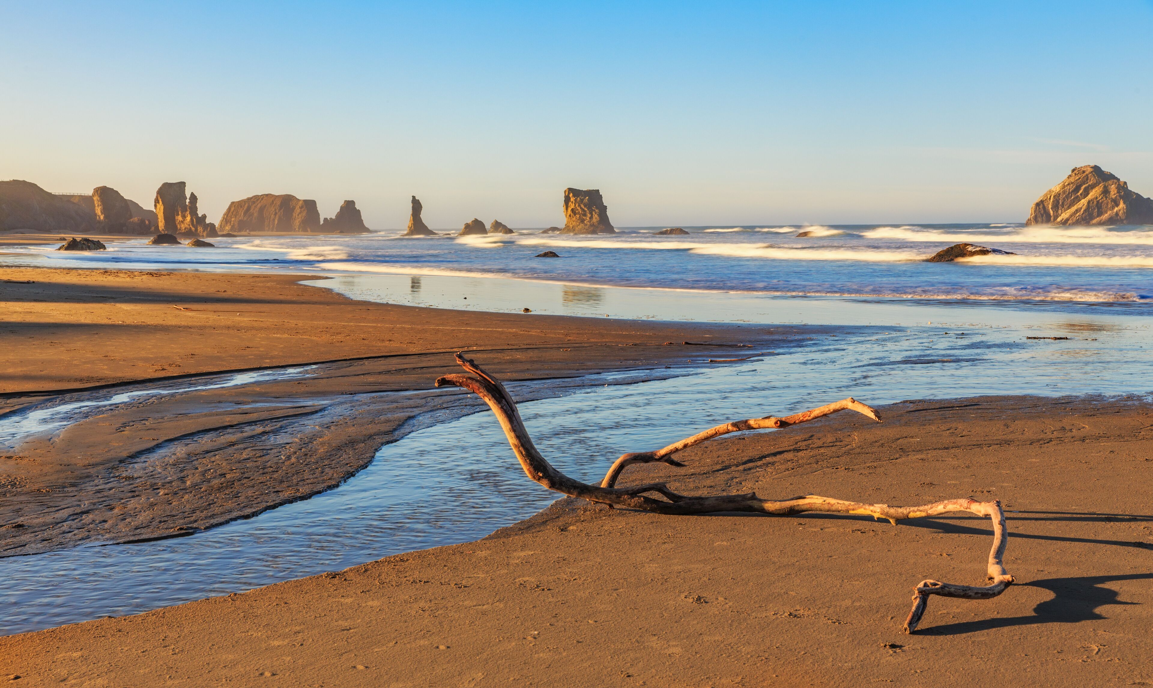 A beach with a fallen tree, waves, and rock formations.