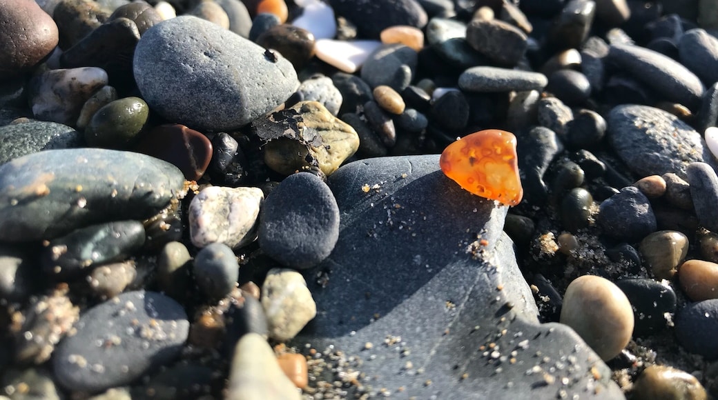Low tide is agate time.
#beachhike
#lowtide
#agatehunting