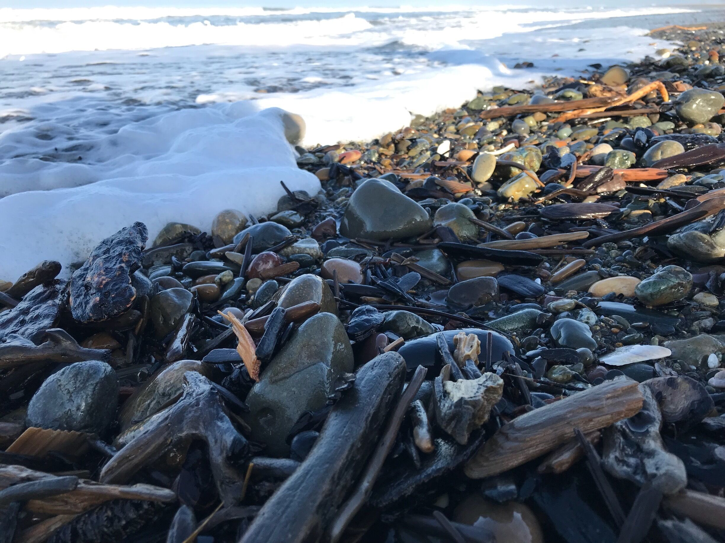 Low tide at Bullards
#beachhike
#lowtide
