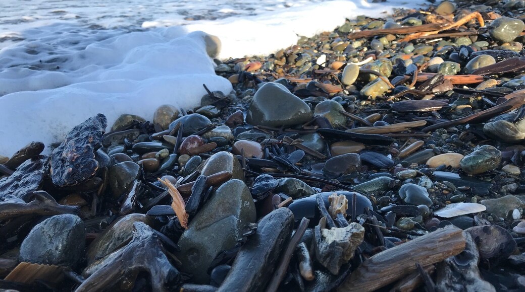 Low tide at Bullards
#beachhike
#lowtide