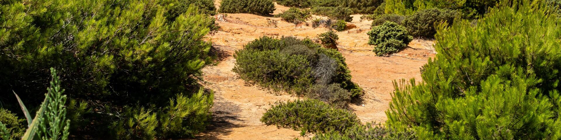 pleasure boats passing in front of La Barrosa beach in Sancti Petri Cadiz
