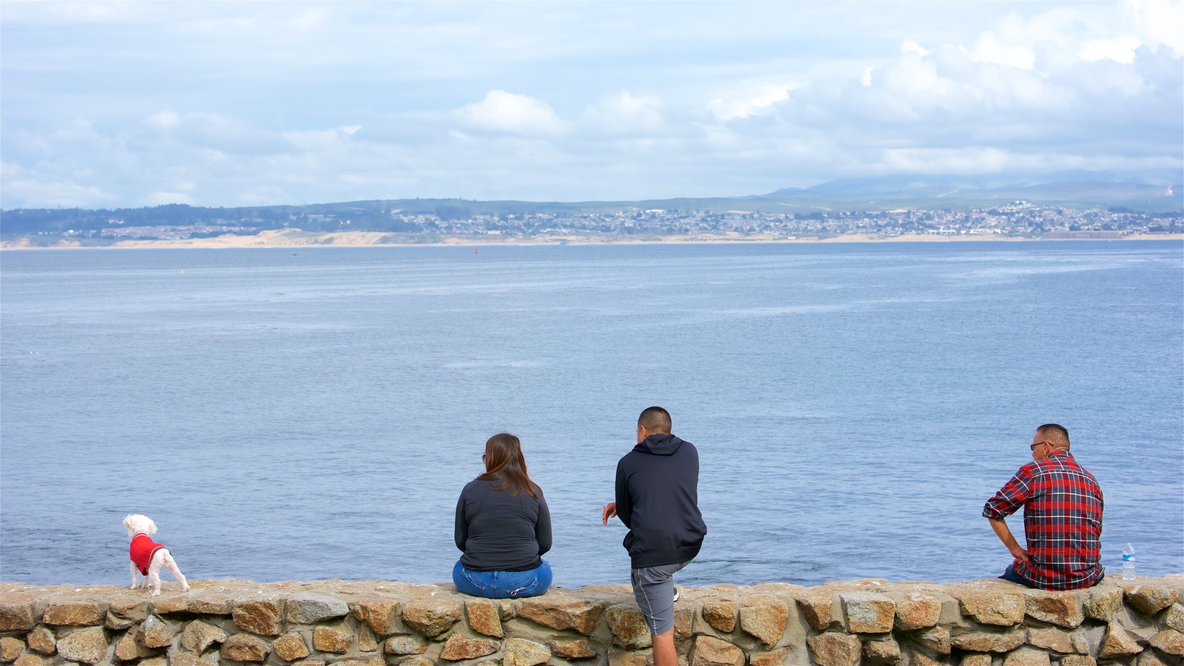 Lovers Point showing general coastal views as well as a small group of people