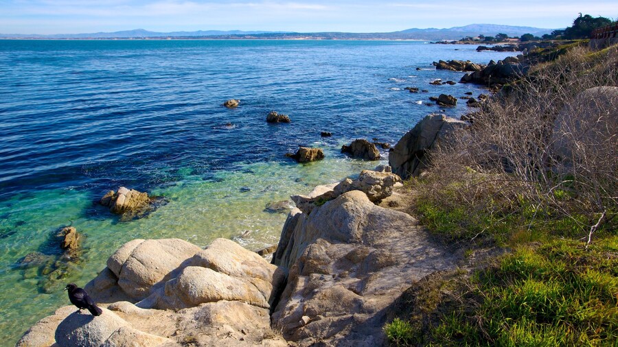 Lovers Point featuring rugged coastline