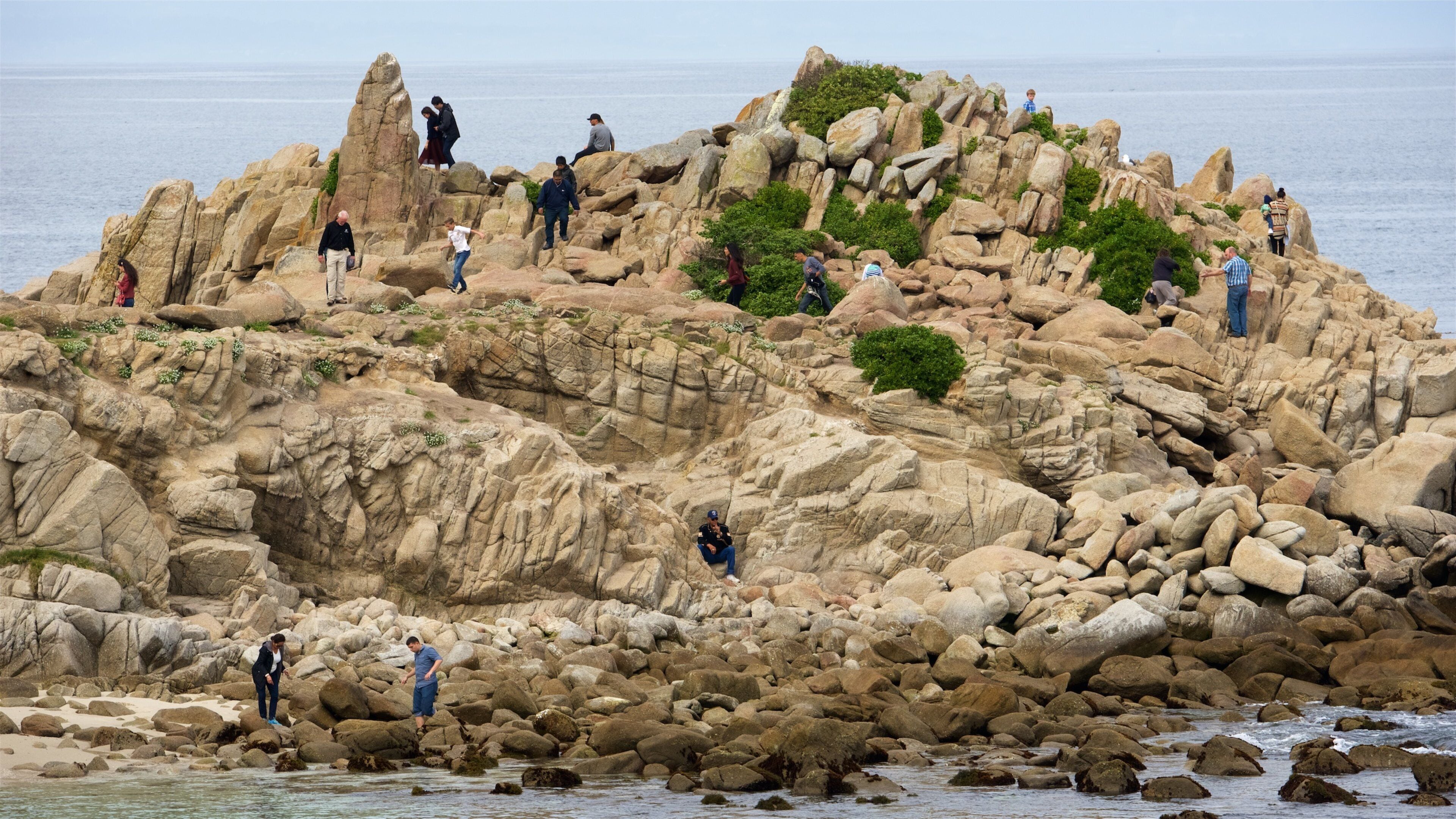 Monterey showing rugged coastline as well as a large group of people