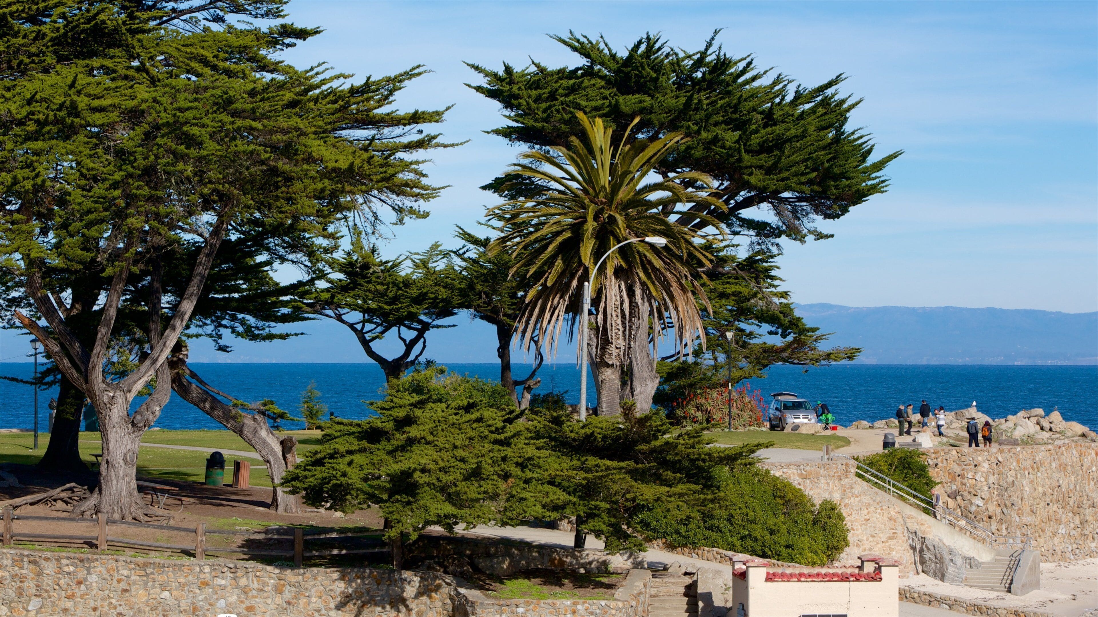 Un parque costero con árboles, una palmera y un muro de piedra.