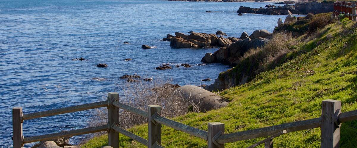 Lovers Point showing rugged coastline and general coastal views