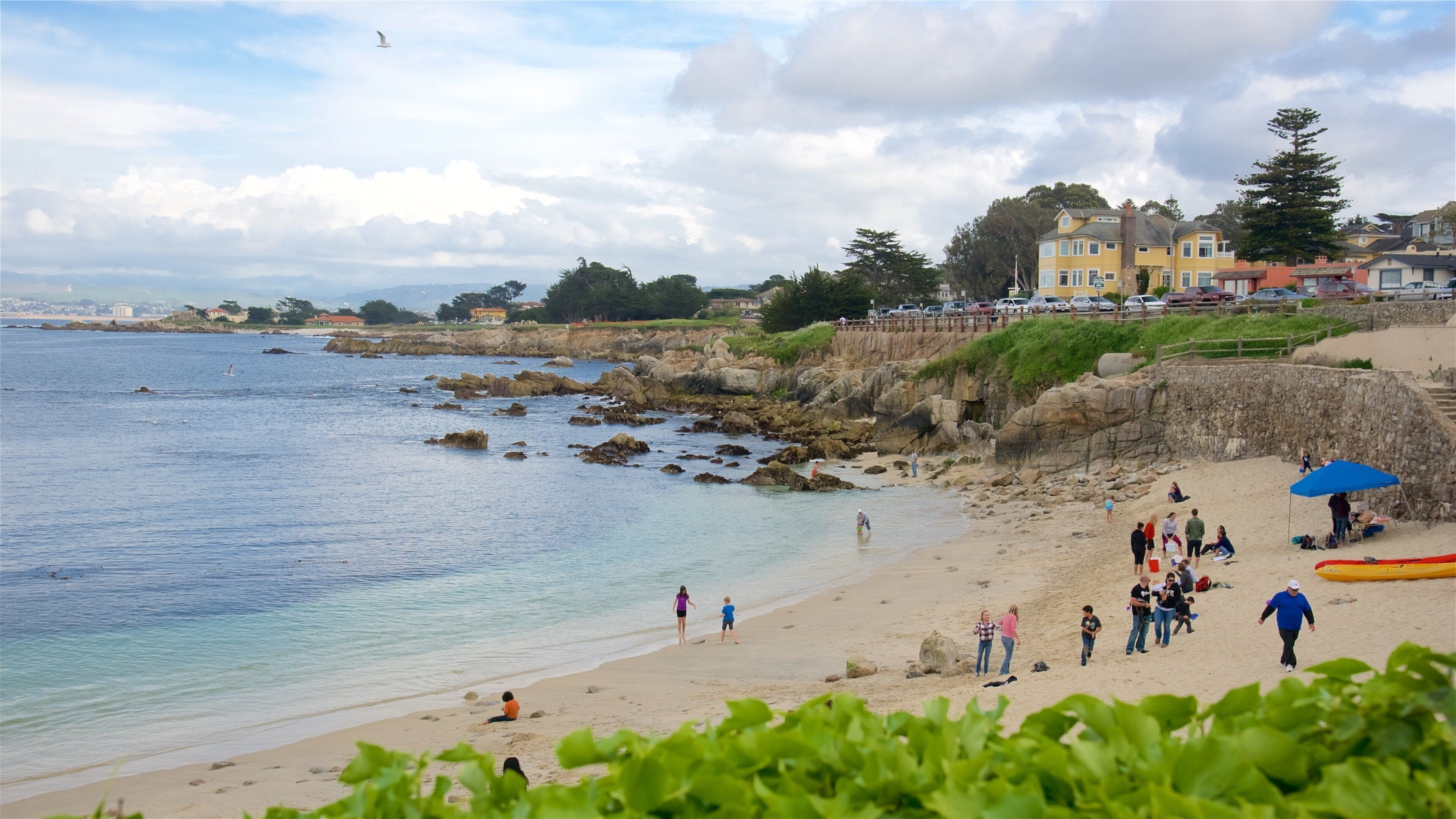 Monterey featuring a beach and a bay or harbour