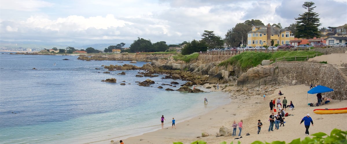 Monterey featuring a beach and a bay or harbour
