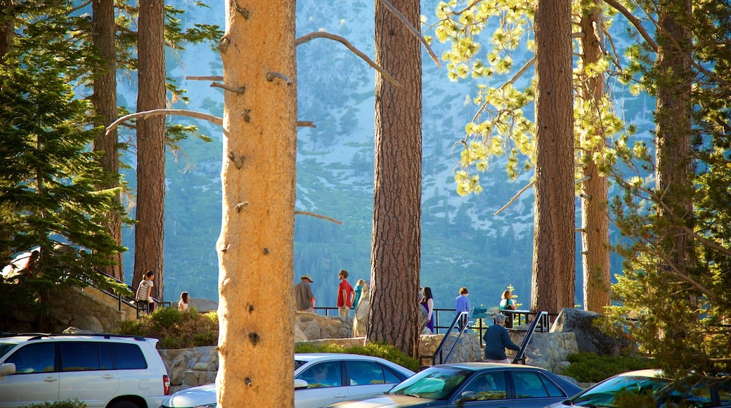 Inspiration Point Vista