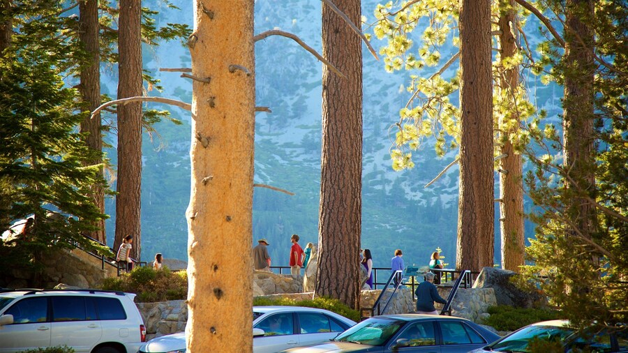 Inspiration Point Vista