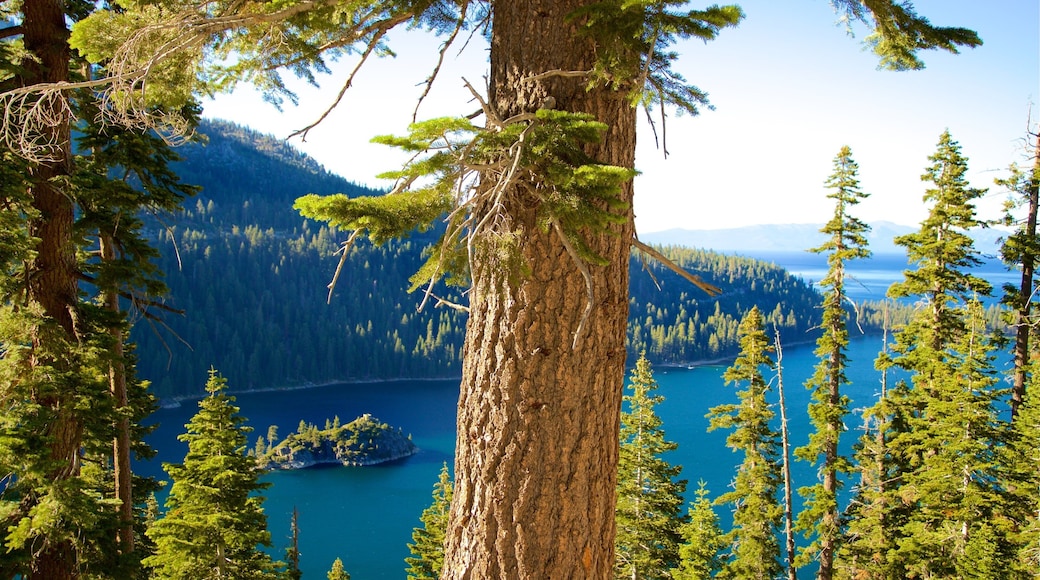 Inspiration Point Vista featuring tranquil scenes and a lake or waterhole
