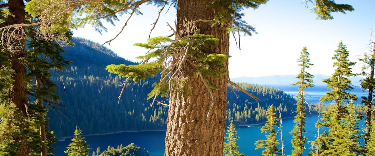 Inspiration Point Vista showing tranquil scenes and a lake or waterhole