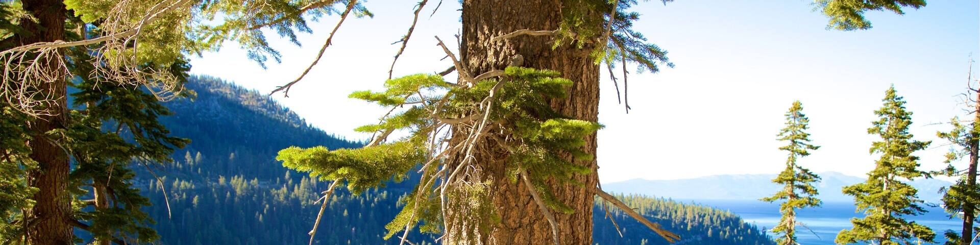 Reserva Inspiration Point Vista mostrando un lago o abrevadero y escenas tranquilas