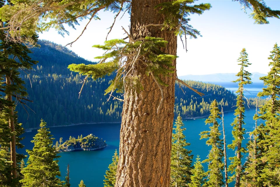 Une forêt dense, avec de grands arbres et un lac d’un bleu limpide, entouré de montagnes.