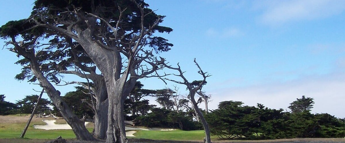 How one concentrates on golf in this beautiful setting is beyond me.