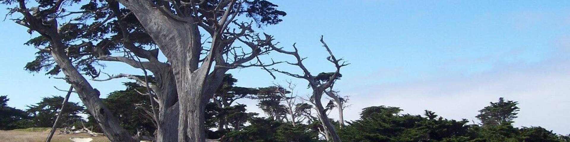 How one concentrates on golf in this beautiful setting is beyond me.