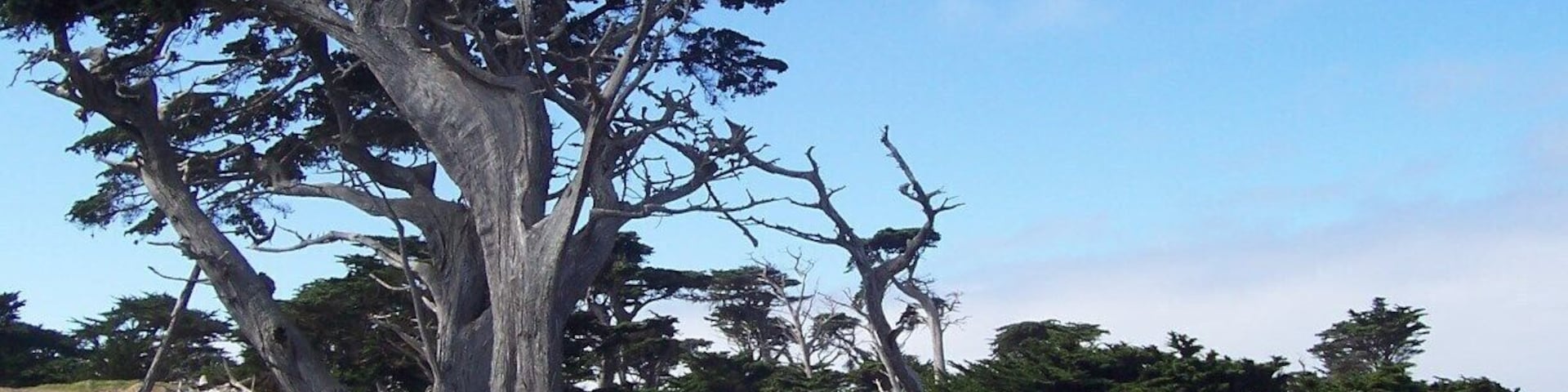 How one concentrates on golf in this beautiful setting is beyond me.