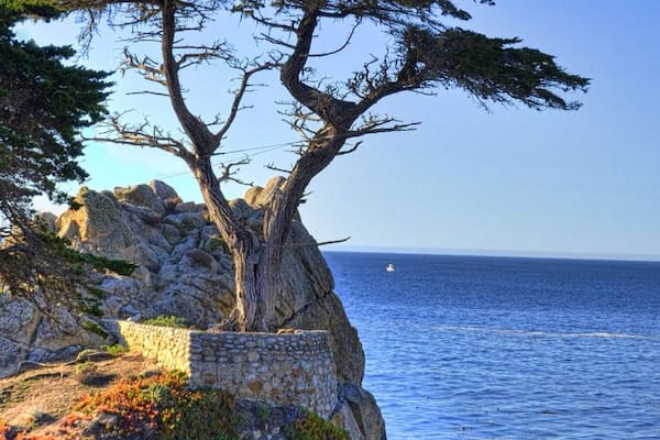 17 mile drive in pebble beach. This is a photo of the lone Cyprus. The drive is a must see if you are in the area.
#roadtrip
#waterlust