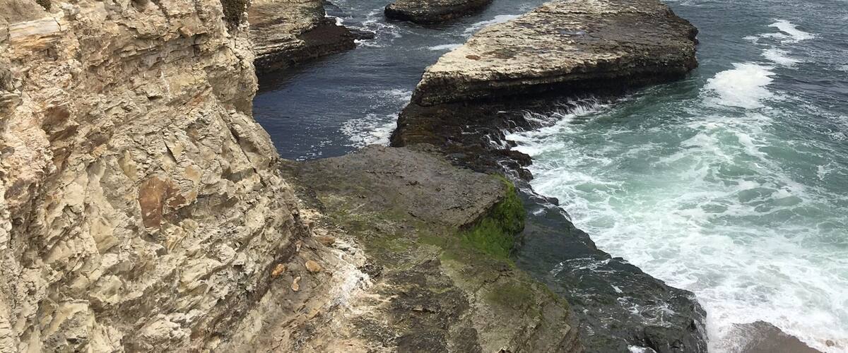 A view from the trail