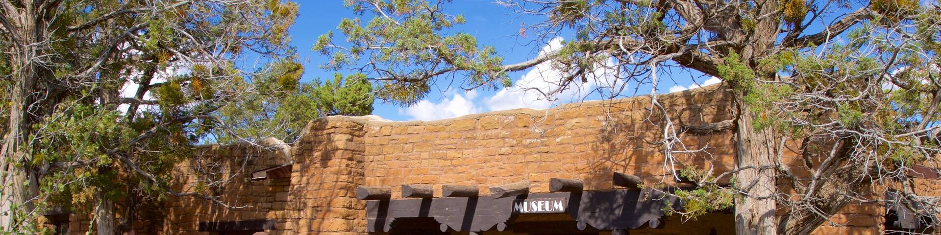 Museo arqueológico de Chapin Mesa y también una familia