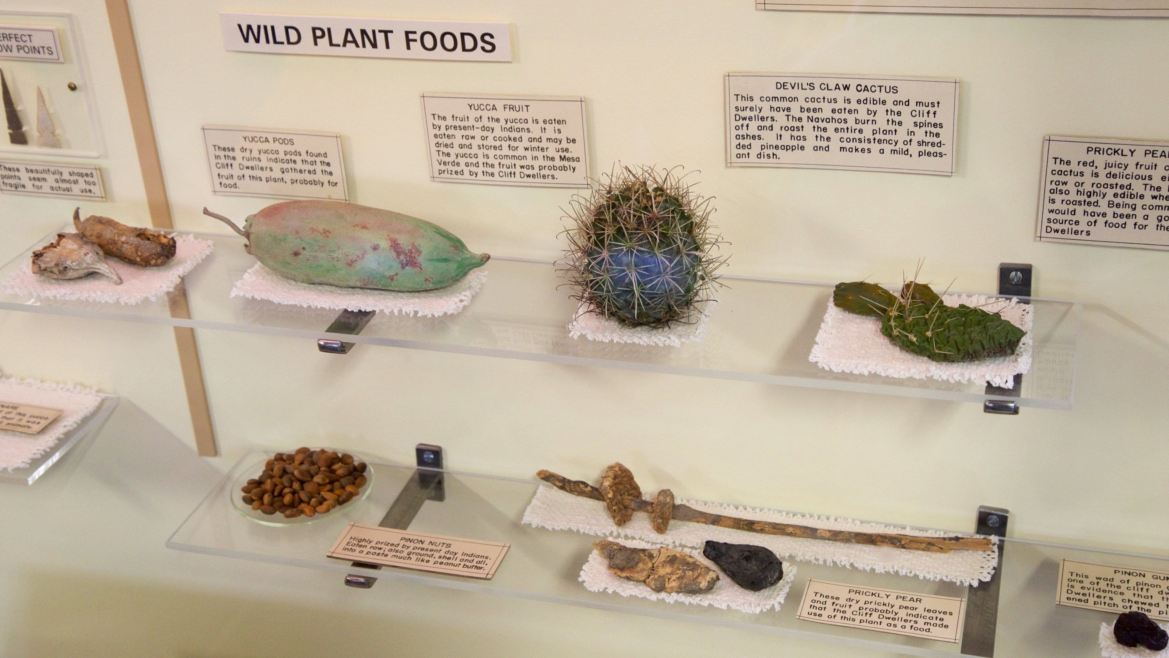 チャピン メサ考古学博物館