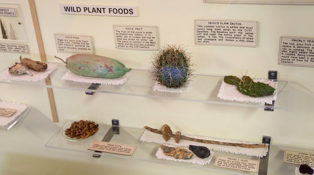 チャピン メサ考古学博物館