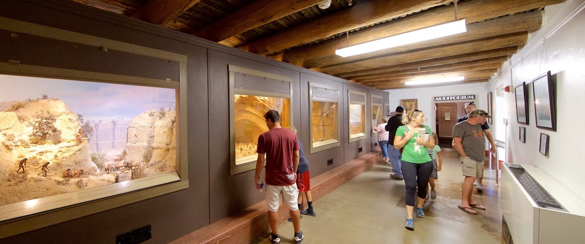 Museo arqueológico de Chapin Mesa ofreciendo vistas interiores y también un pequeño grupo de personas