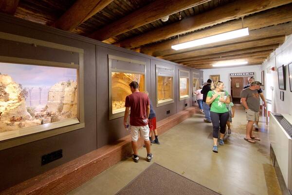 Chapin Mesa Archeological Museum featuring interior views as well as a small group of people