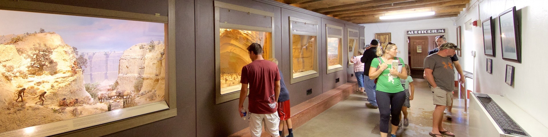 Museu Arqueológico Chapin Mesa mostrando vistas internas assim como um pequeno grupo de pessoas