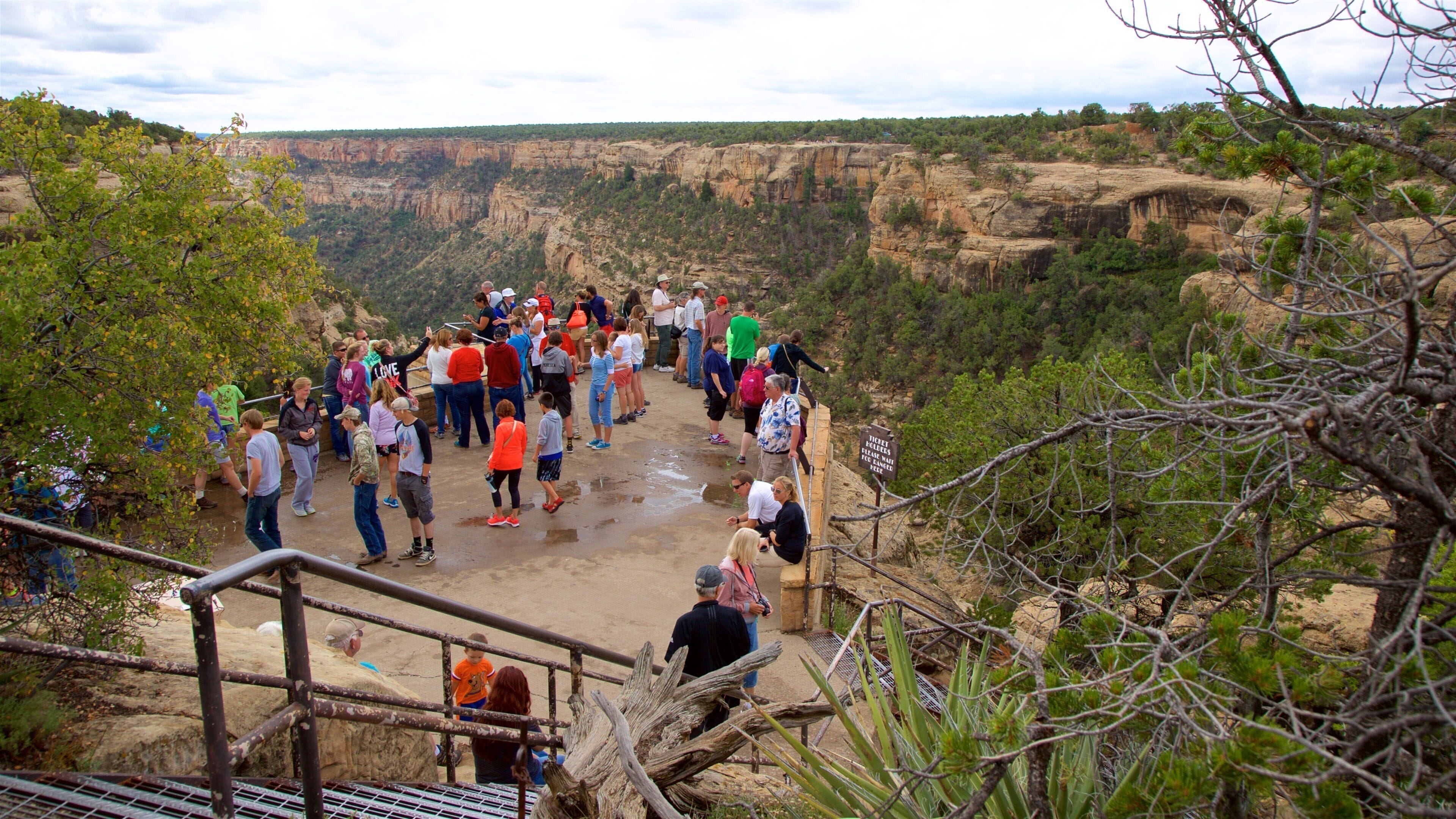 Acantilado Cliff Palace mostrando escenas tranquilas y también un pequeño grupo de personas