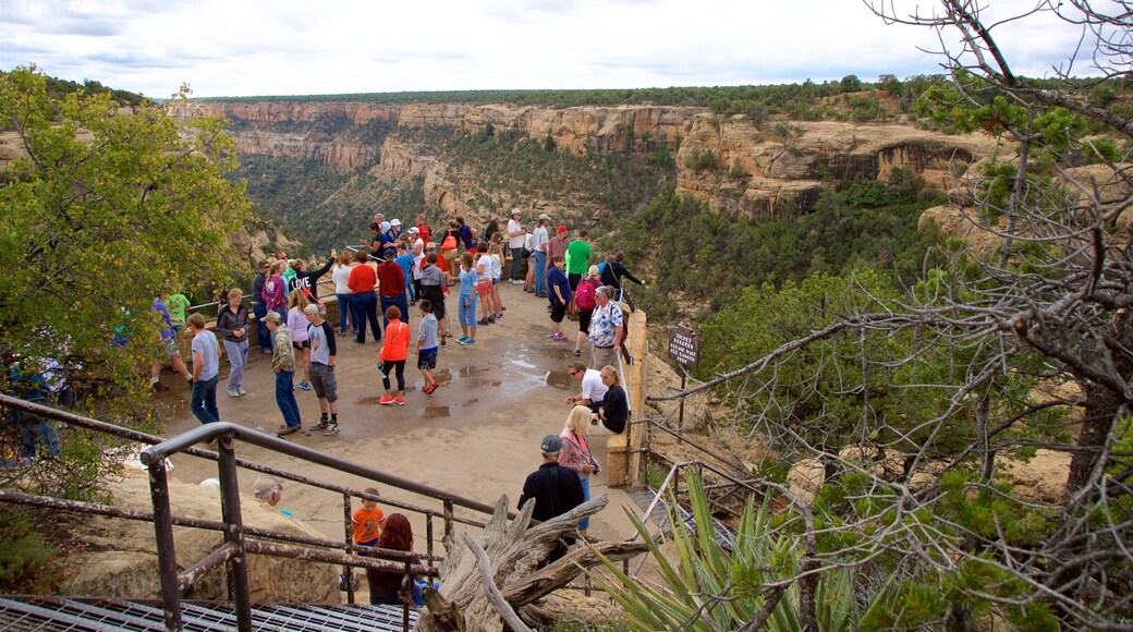 Cliff Palace which includes tranquil scenes as well as a small group of people
