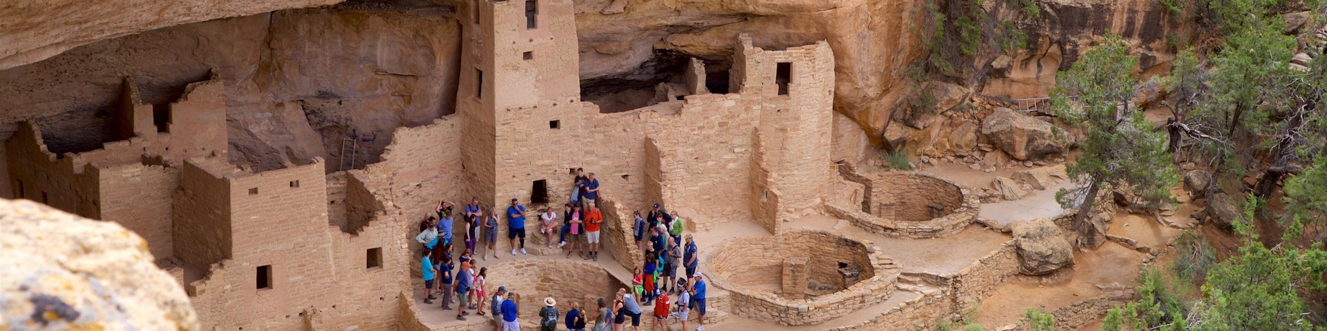 Cliff Palace showing a ruin and heritage architecture as well as a small group of people