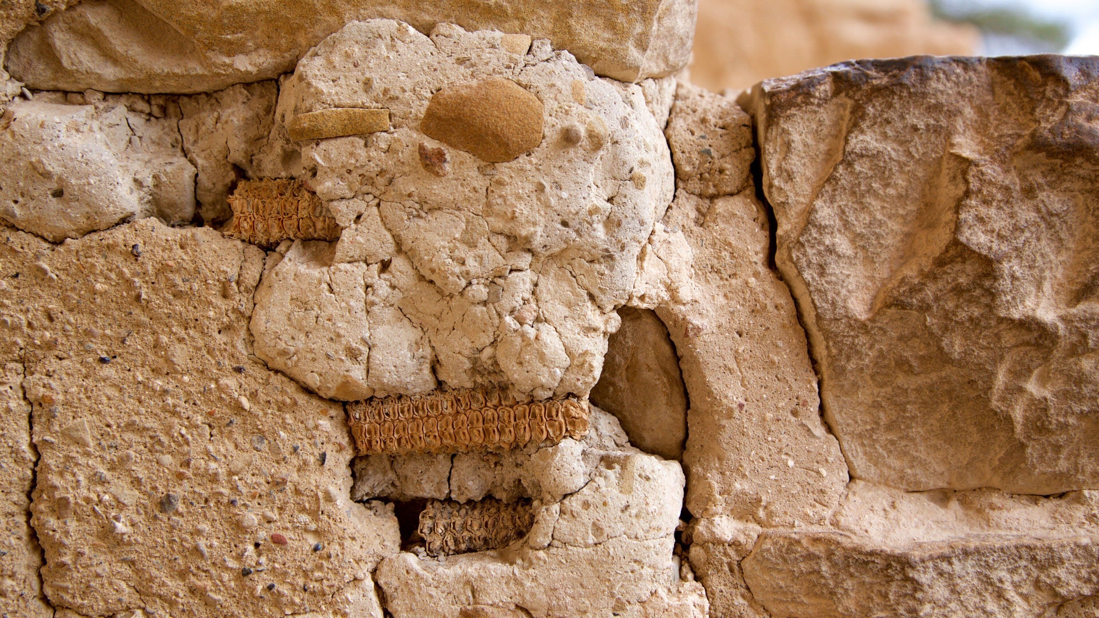 Cliff Palace showing heritage elements