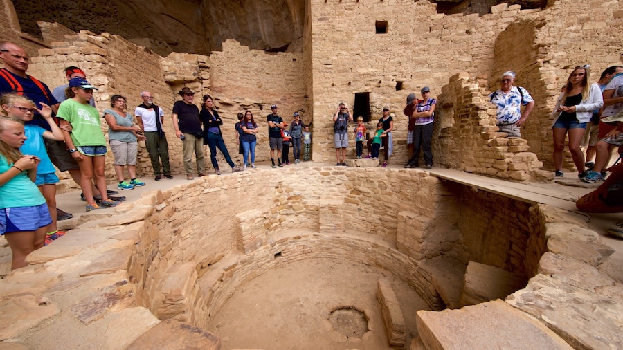 Cliff Palace featuring a ruin and heritage elements as well as a small group of people