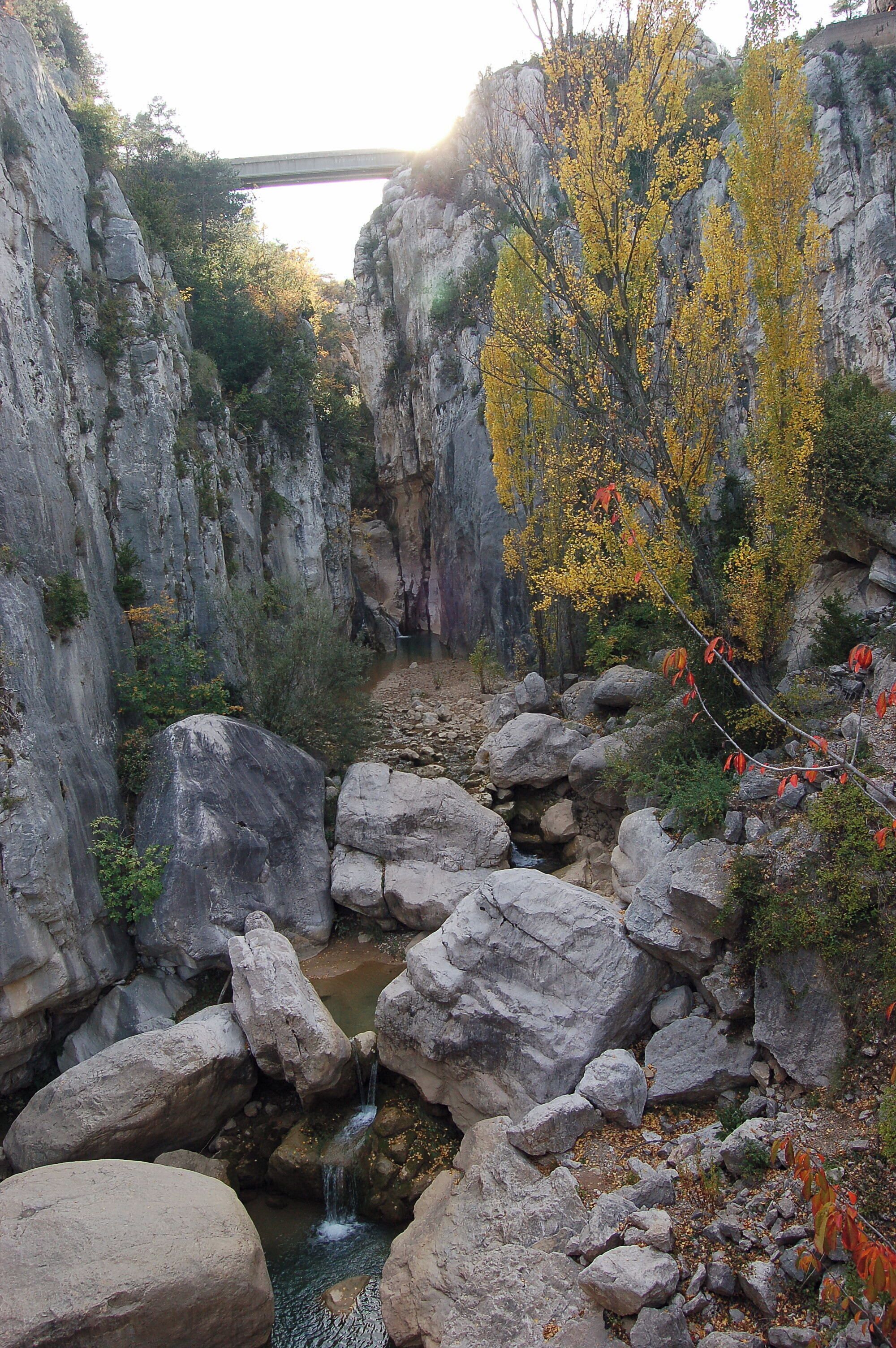 A rocky gorge with a small waterfall, yellow foliage, and a bridge in the background.