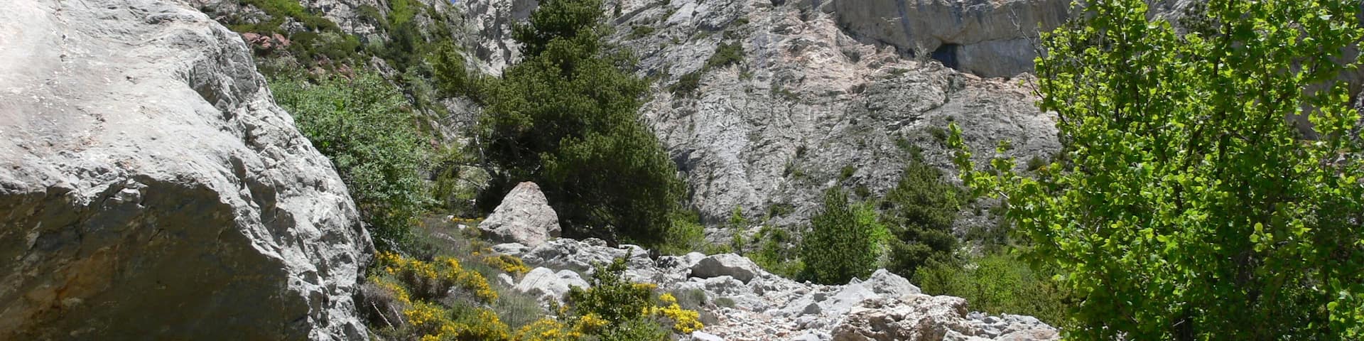 Mirant Les Penyes Altes (juny 2006)